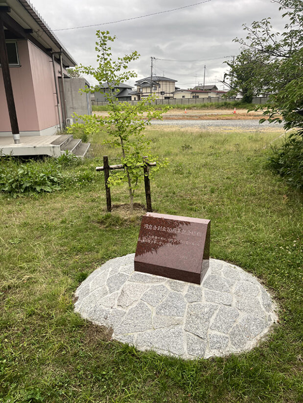 銀杏の木